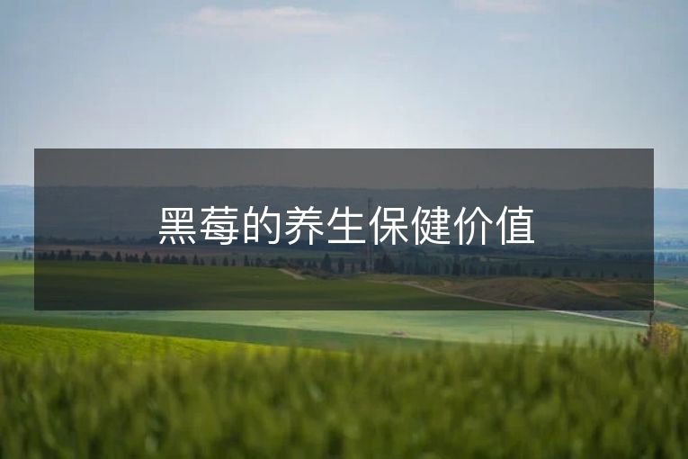 黑莓的养生保健价值 黑莓的养生保健价值